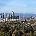 Frankfurt - Skyline - Stadtwald