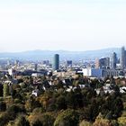 Frankfurt - Skyline - Stadtwald