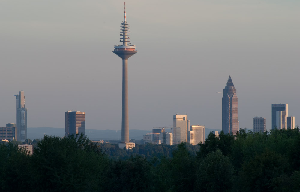 Frankfurt Skyline - Vom Norden / Frischezentrum