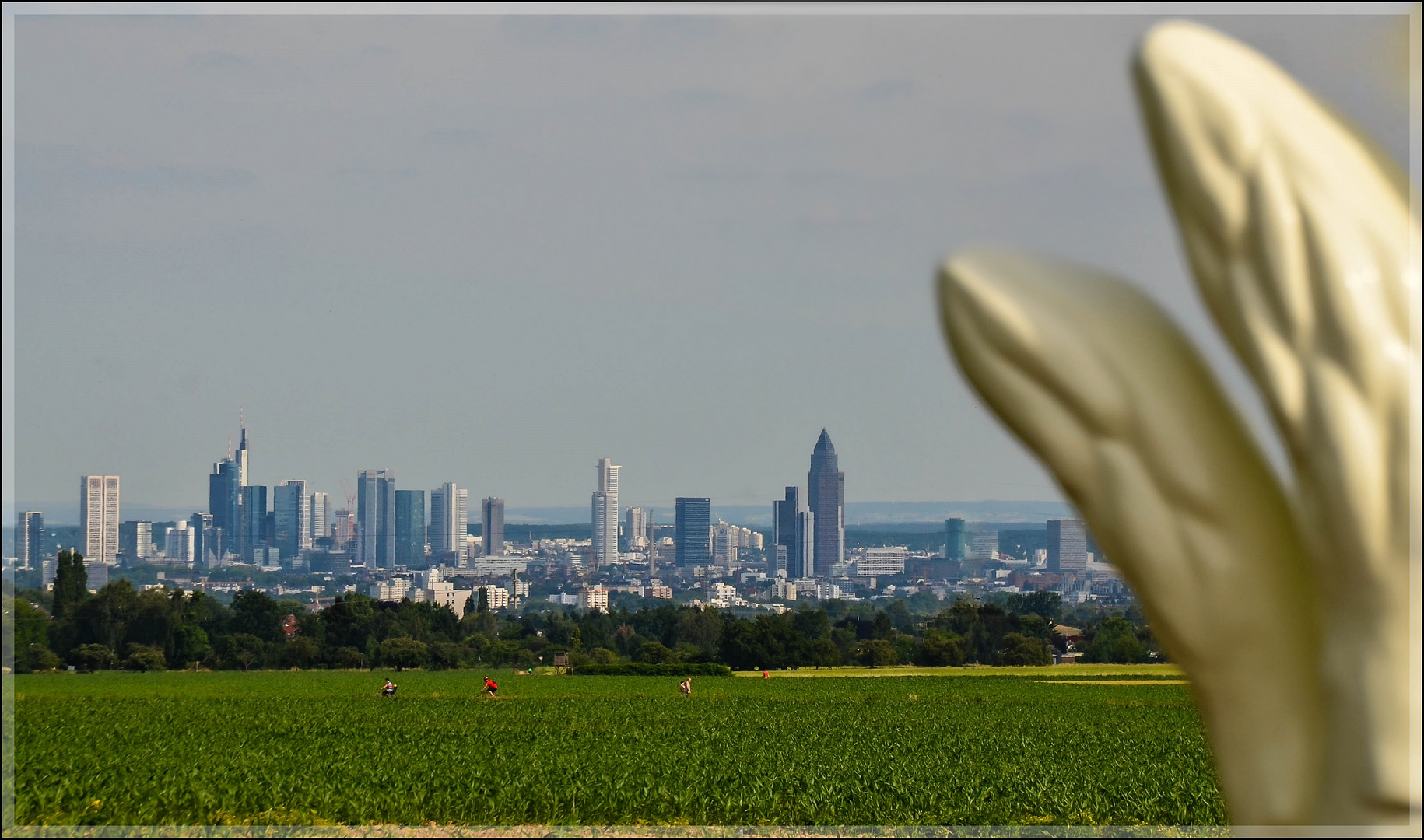 Frankfurt und der Spargel ...