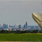 Frankfurt und der Spargel ...