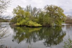 Frankfurt : Weiher im Rebstockpark