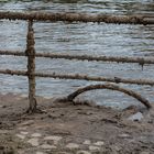 Frankfurt: Weseler Werf nach dem Hochwasser Juni 2013