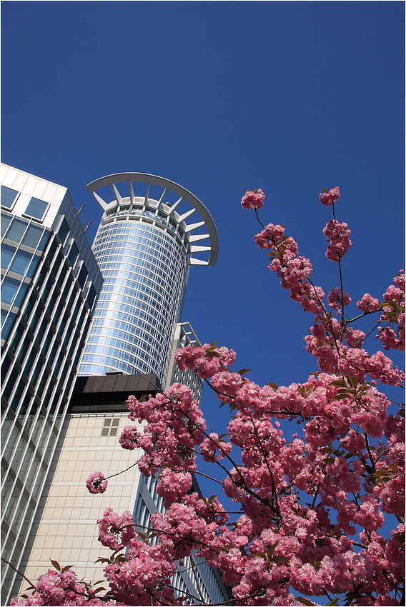 Frankfurter Frühling