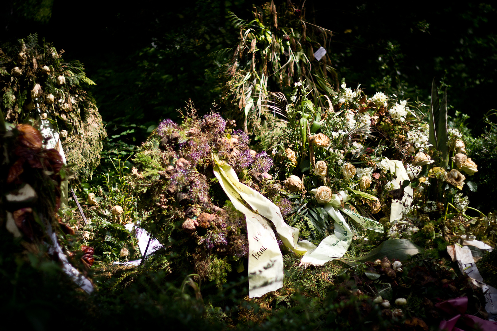 Frankfurter Hauptfriedhof 9