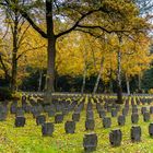 Frankfurter Hauptfriedhof D75_2394