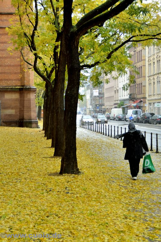 Frankfurter Herbst (Gelb)