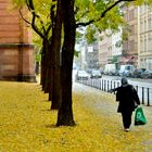 Frankfurter Herbst (Gelb)