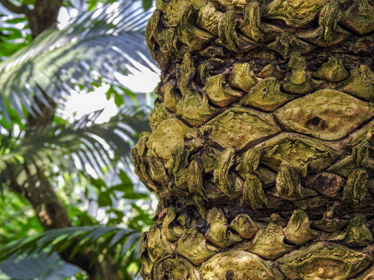 Frankfurter Palmengarten Foto & Bild usertreffen+veranstaltungen