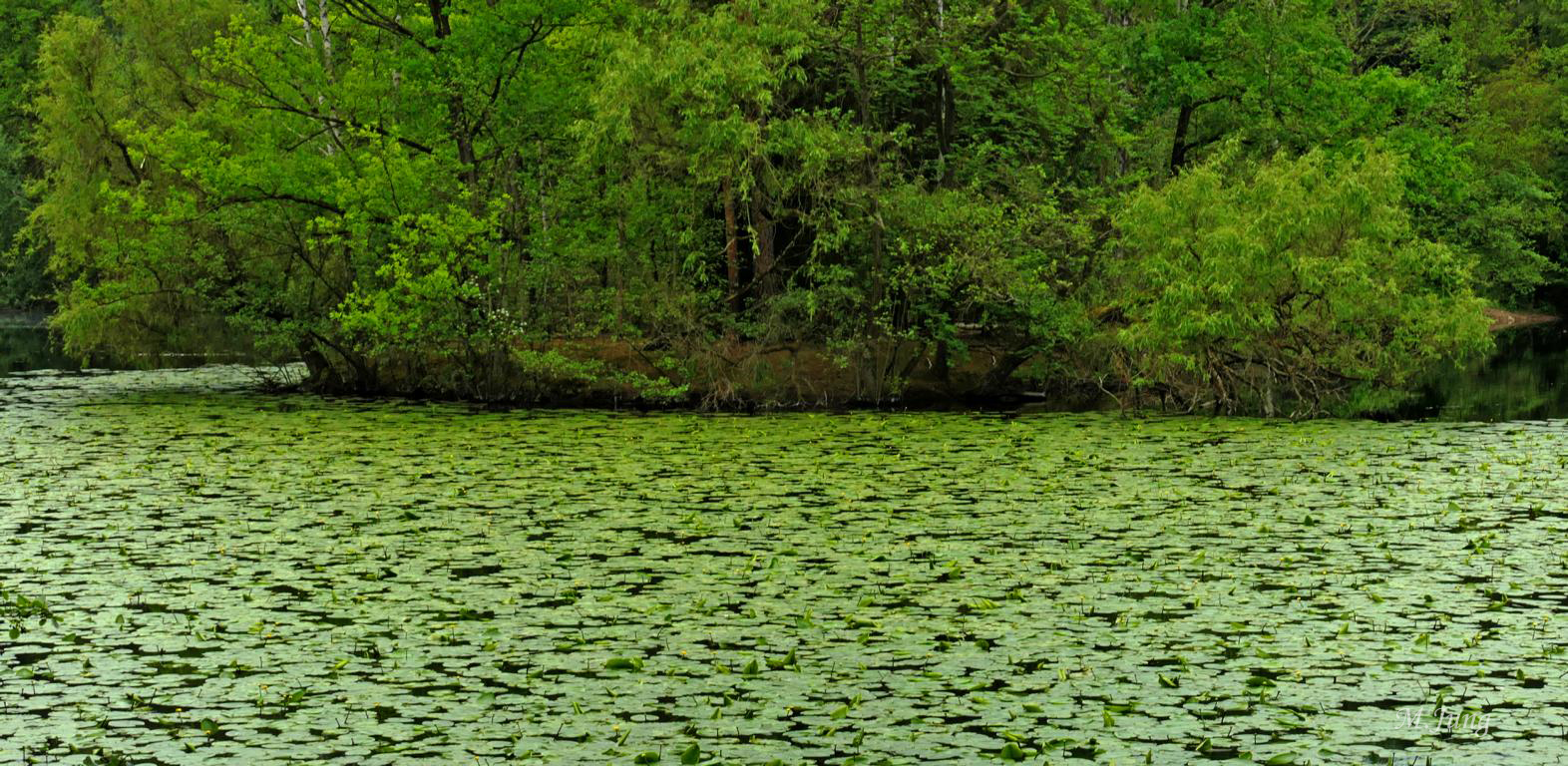 Frankfurter Seen Kesselbruchweiher 02 Foto & Bild deutschland