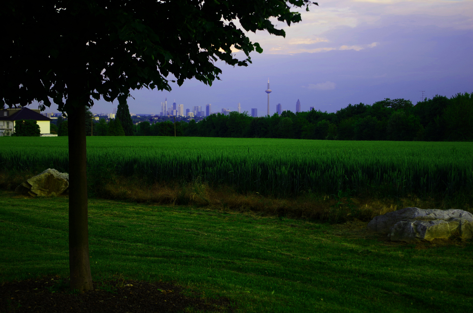 Frankfurter Skyline