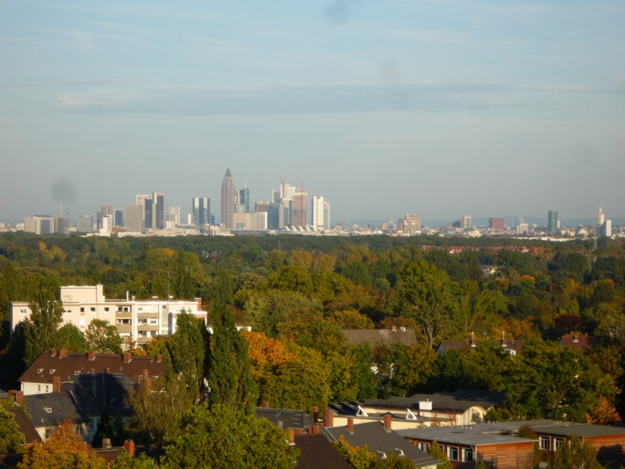 Frankfurter Skyline aus der Höchster Klinik fotografiert