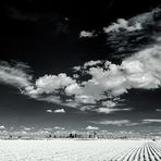 Frankfurter Skyline ganz klein