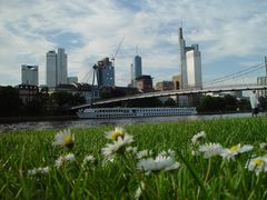 Frankfurter Skyline + Grün