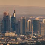 Frankfurter Skyline im Licht der Abendsonne