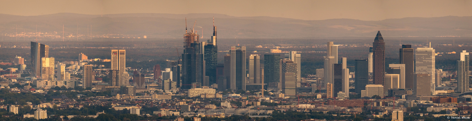 Frankfurter Skyline im Licht der Abendsonne