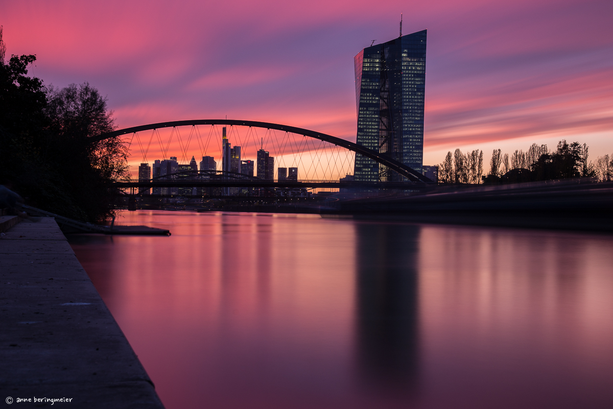 Frankfurter Skyline im pinken Sonnenuntergang