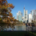 Frankfurter Skyline in Herbst