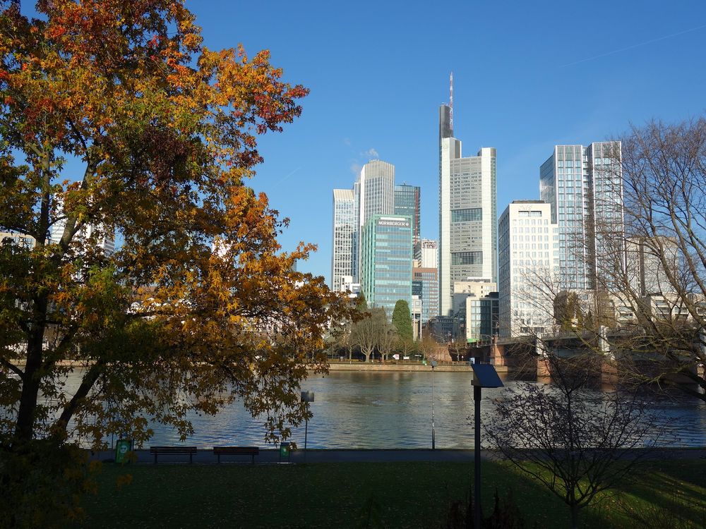 Frankfurter Skyline in Herbst