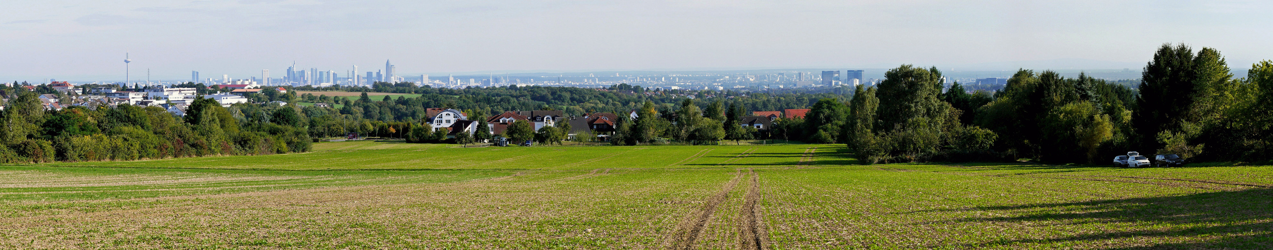 Frankfurter Skyline von Oberhöchstadt (Kronberg) aus gesehen