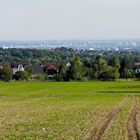 Frankfurter Skyline von Oberhöchstadt (Kronberg) aus gesehen