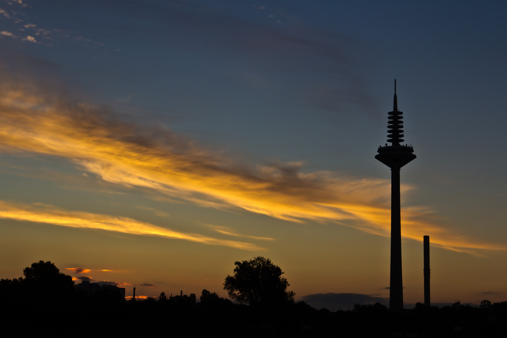 Frankfurter Spargel im Frühlicht