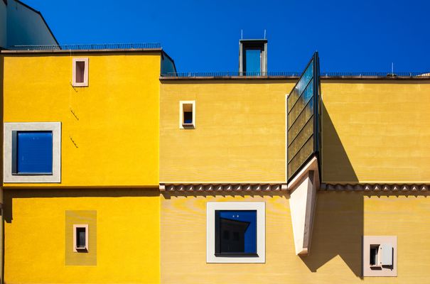 Frankfurter Stadtansichten: Wo die blaue Blume blüht