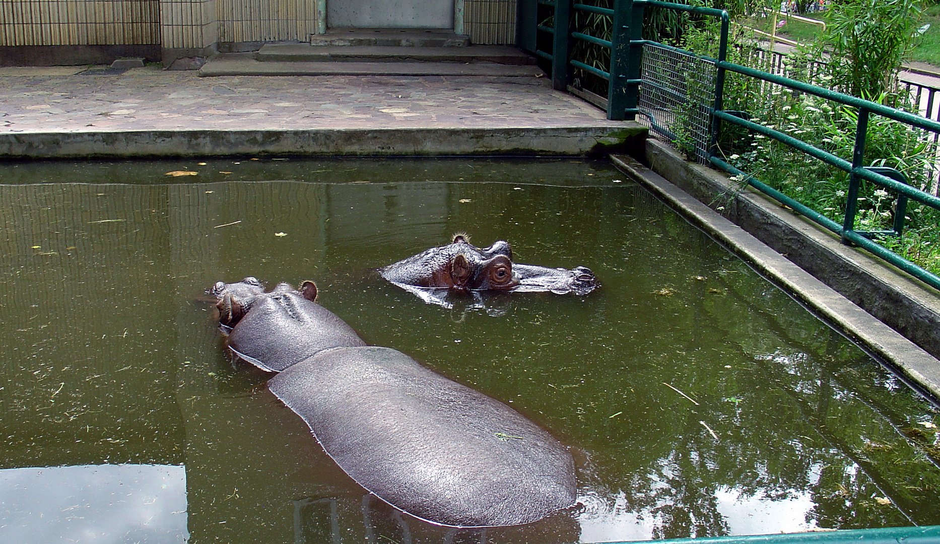 Frankfurter Zoo