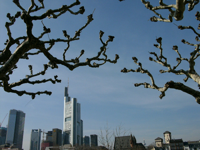 Frankfurt's Skyline