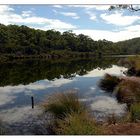 Frankland River