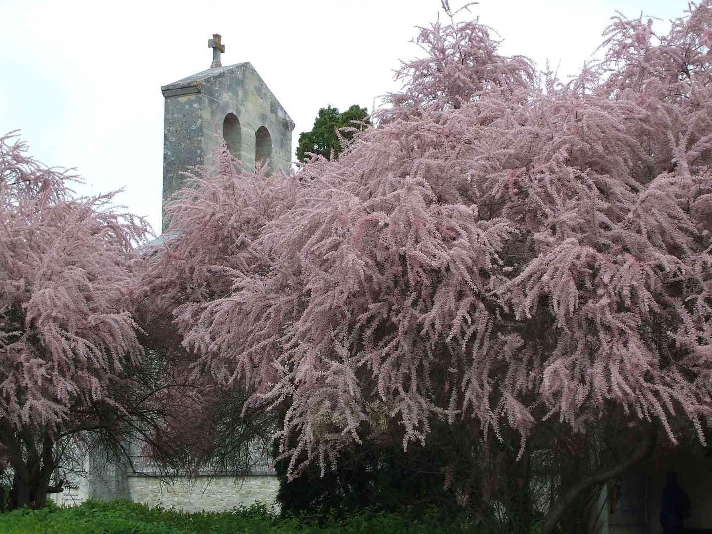 Frankreich