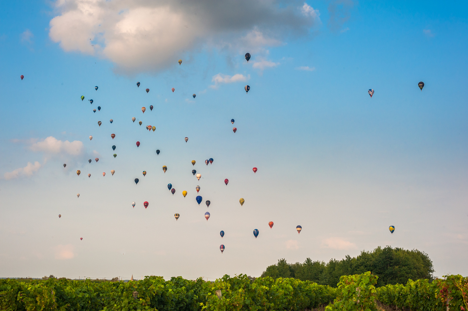 Frankreich 2017: Loire, Ballon Europameisterschaft in Brissac-Quincé-14