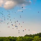 Frankreich 2017: Loire, Ballon Europameisterschaft in Brissac-Quincé-14