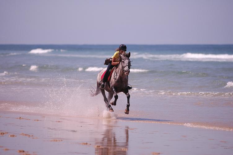 Frankreich am Strand