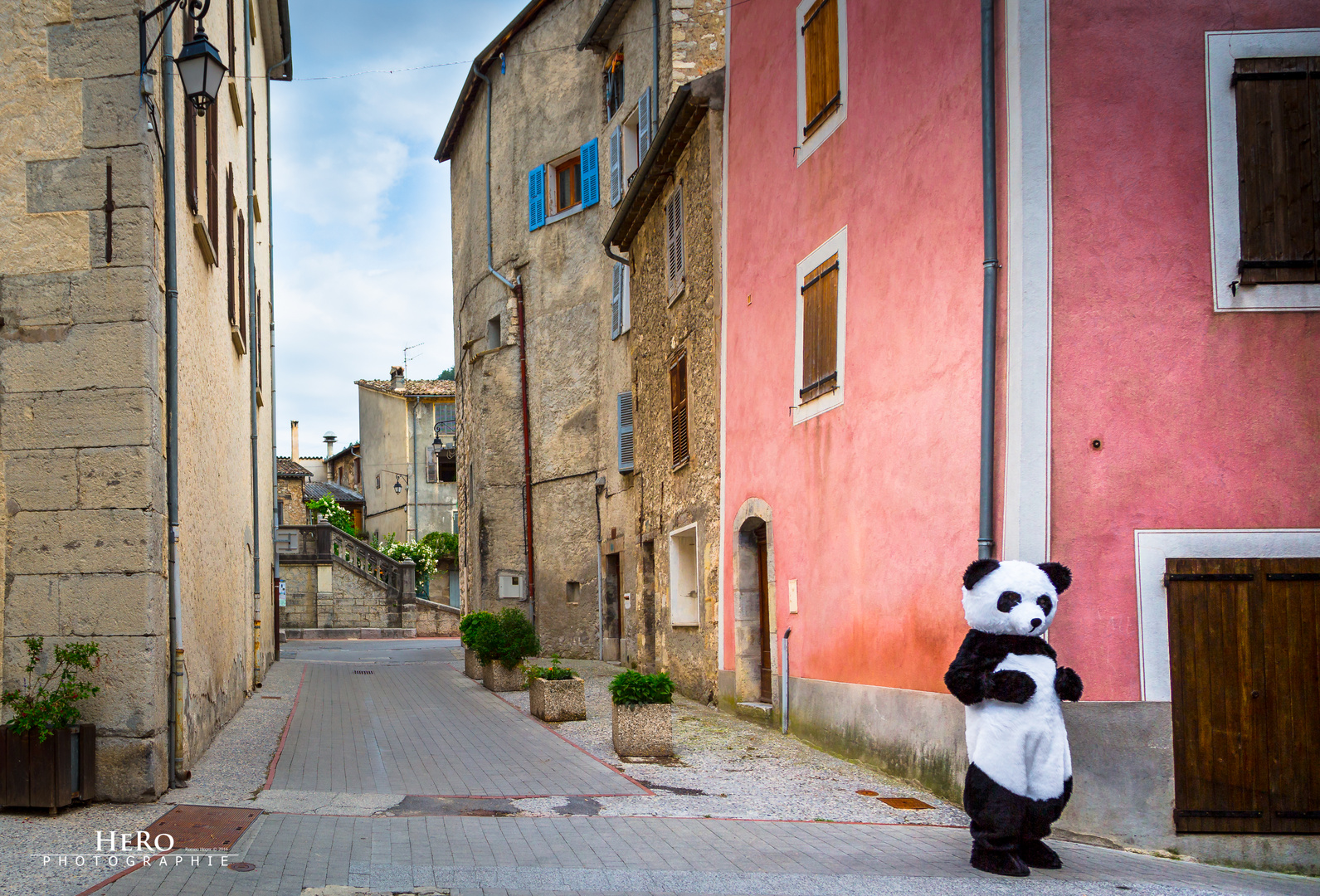 Frankreich / Castellane - lonely Panda