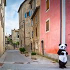 Frankreich / Castellane - lonely Panda