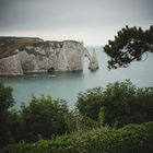 Frankreich - Gärten von Etretat