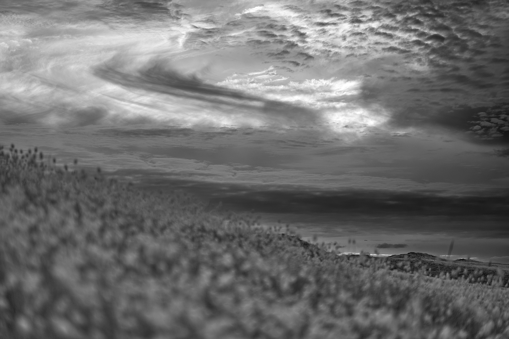 Frankreich - Insel Noirmoutier