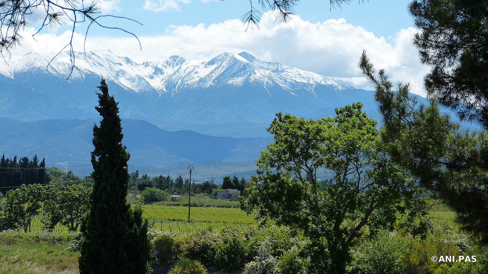 Frankreich - Pyrenäen - Pic (Mont) du Canigou