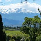 Frankreich - Pyrenäen - Pic (Mont) du Canigou