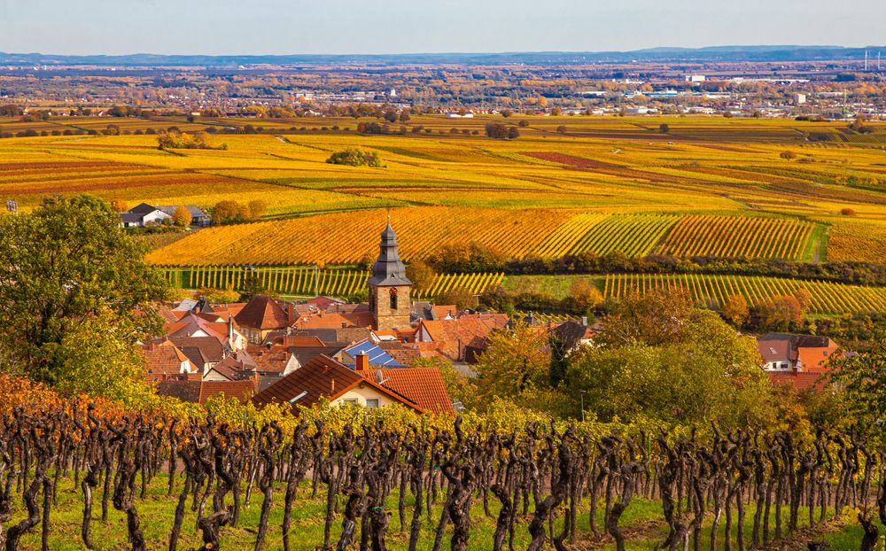 Frankweiler Foto & Bild world, oktober, natur Bilder auf