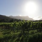 Franschhoek in den Winelands