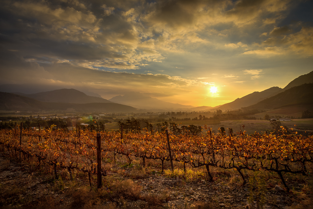 Franschhoek Sunset