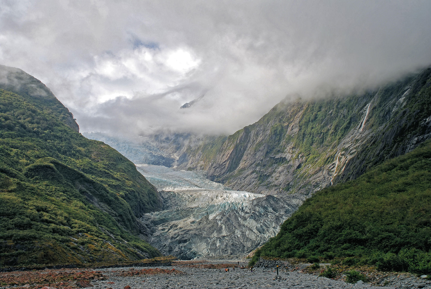 Franz Josef Gletscher - Neuseeland