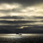 Franz Josef Land; Russland;Mitternacht;Nebel;Sonne;Meer; Goldfarben;Eisberg