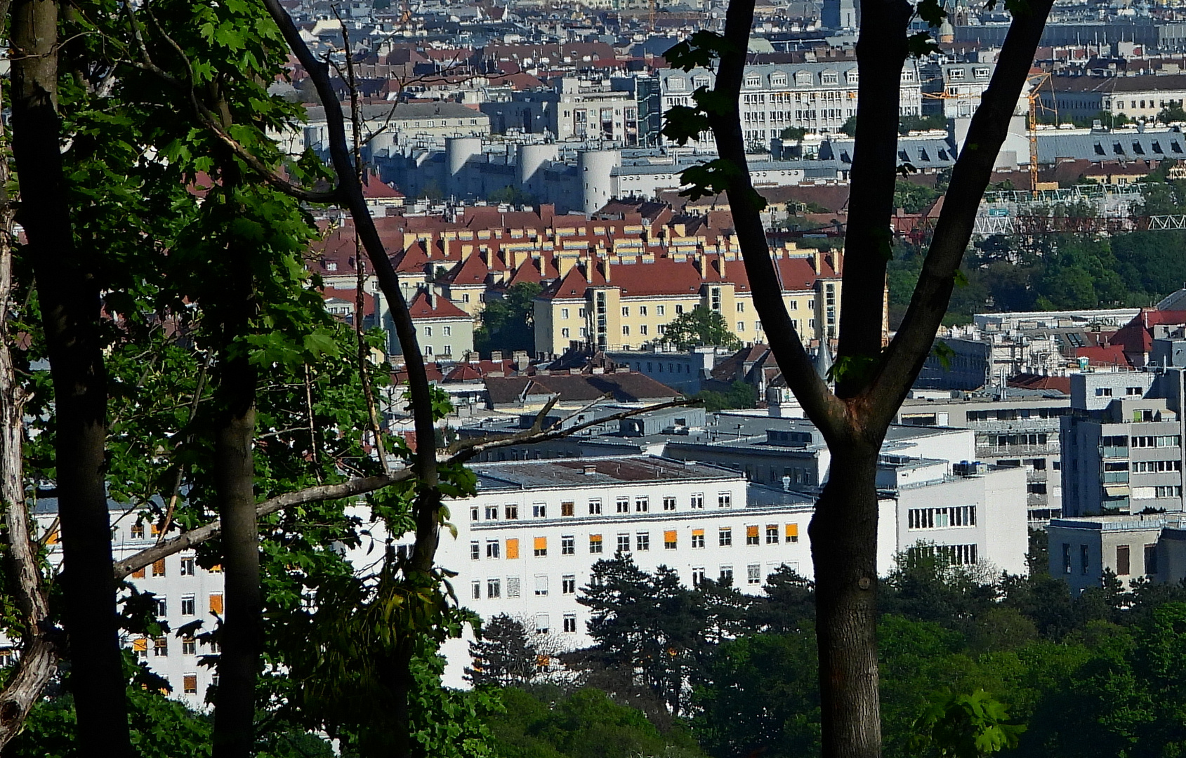 Franz Novy Hof Gemeindebau von Wilhelminenberg Ostseite