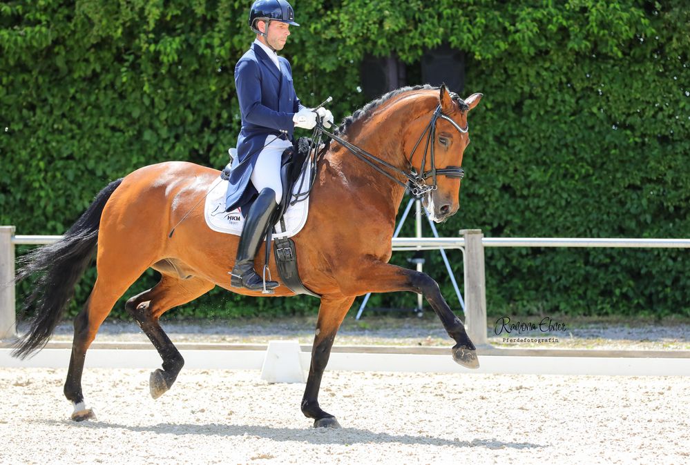 Franz Trischberger Dressage Germany