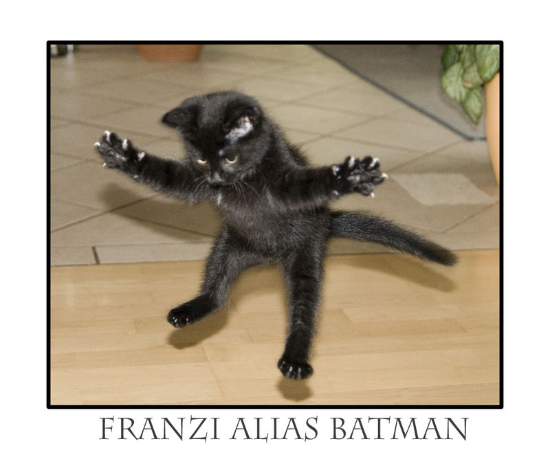 Franzi alias Batman