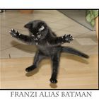 Franzi alias Batman