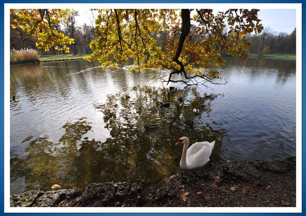 Franzi vom Pagodensee